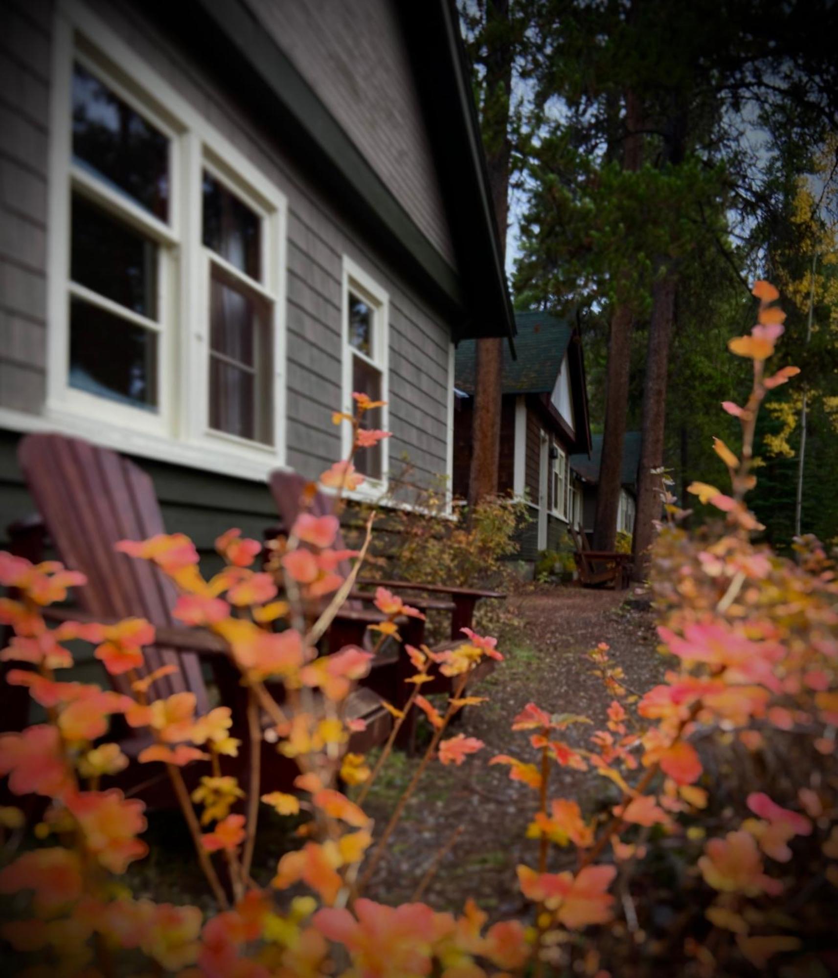 Johnston Canyon Lodge & Bungalows Castle Junction Exterior foto