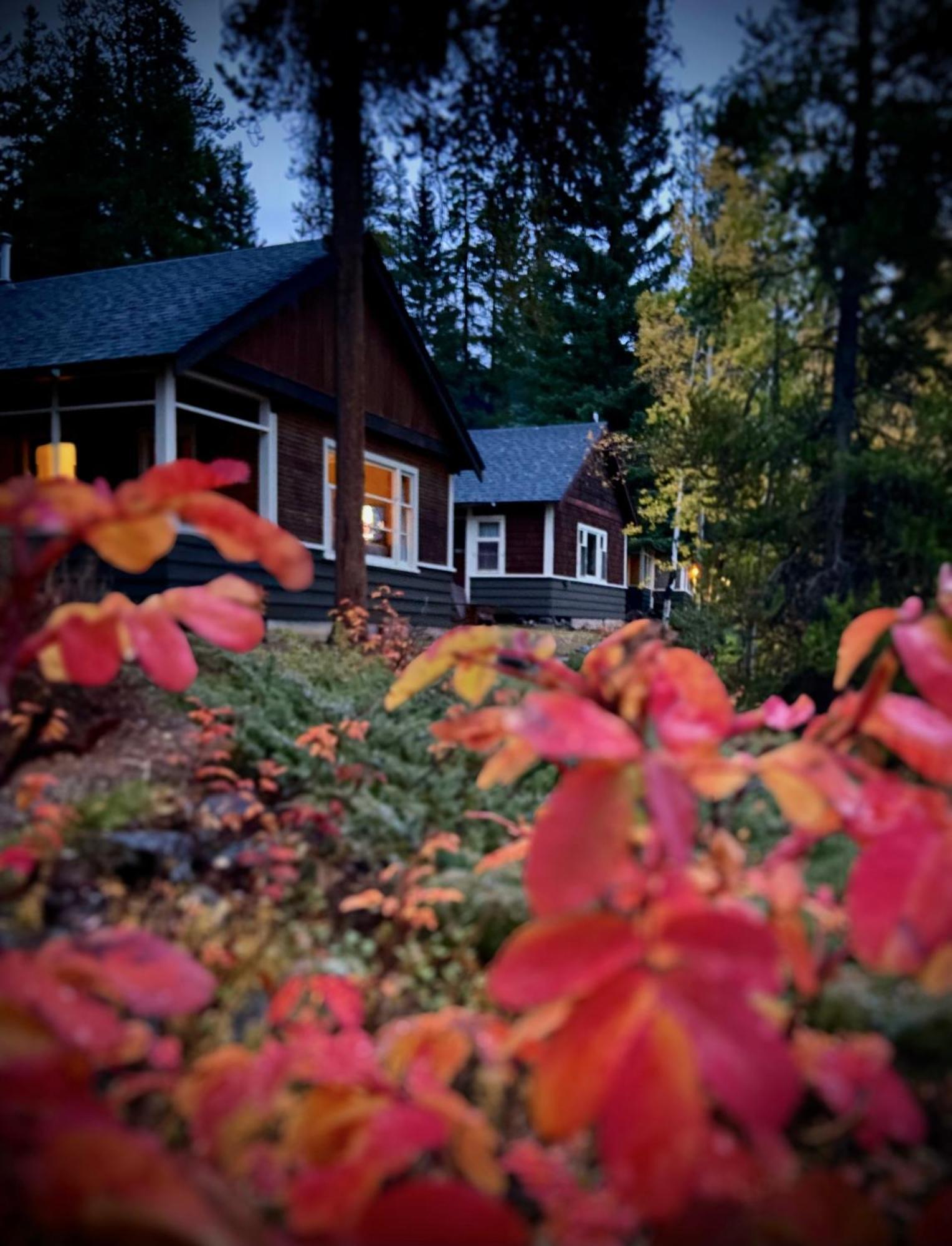 Johnston Canyon Lodge & Bungalows Castle Junction Exterior foto